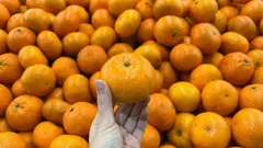 Jak wybrać słodkie i smaczne mandarynki w sklepie na podstawie ich wyglądu